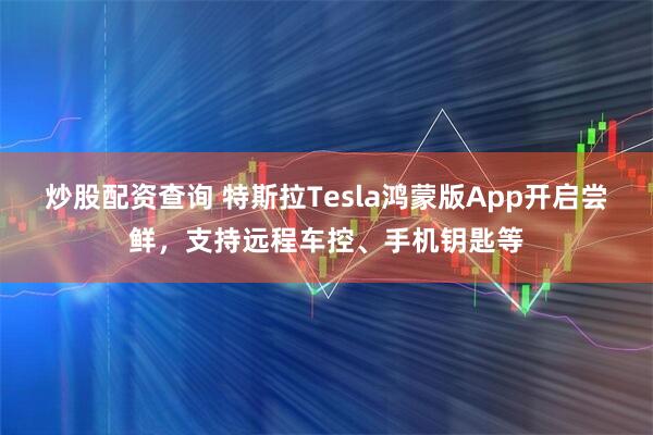 炒股配资查询 特斯拉Tesla鸿蒙版App开启尝鲜,支持远程车控、手机钥匙等